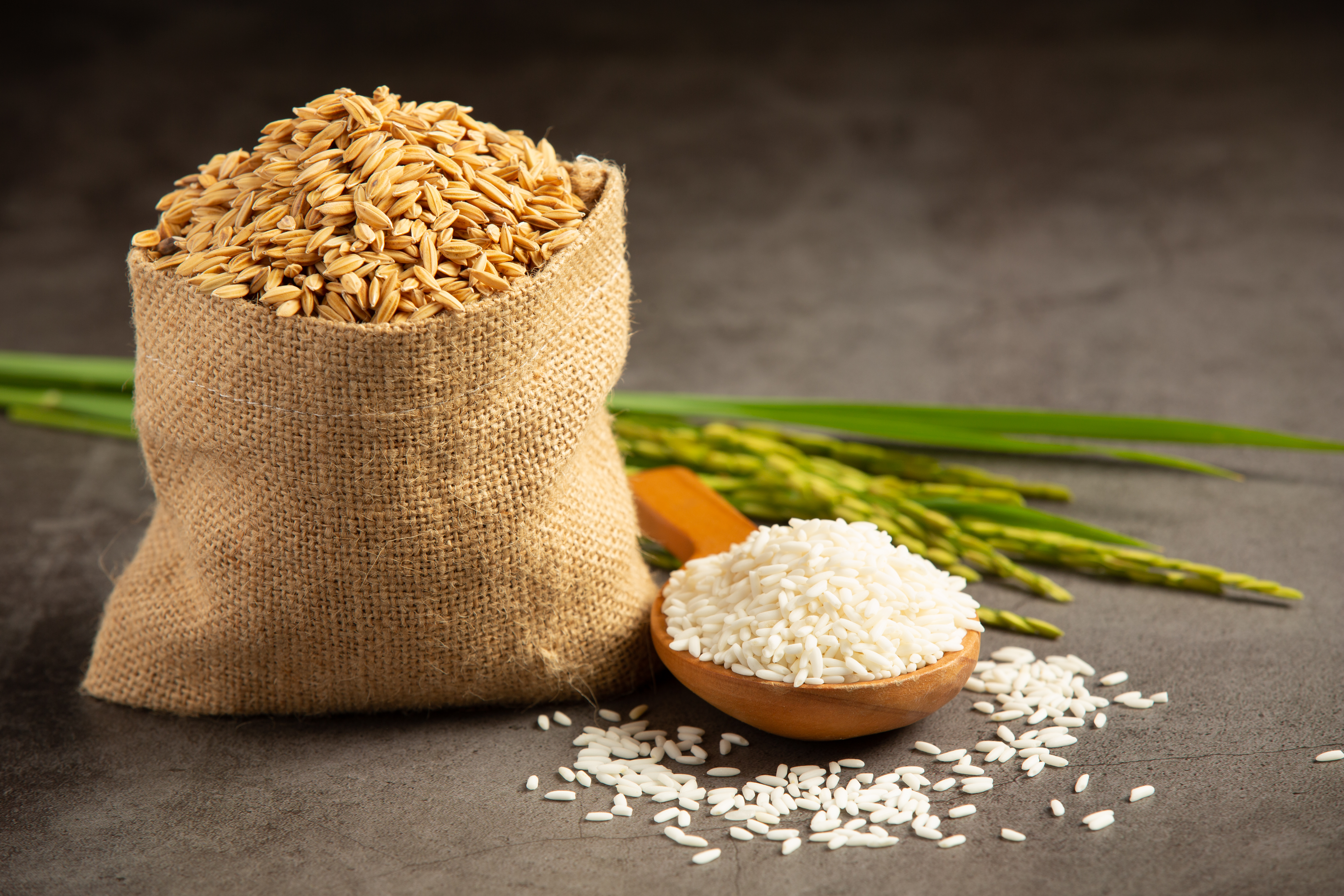 Premium Rices